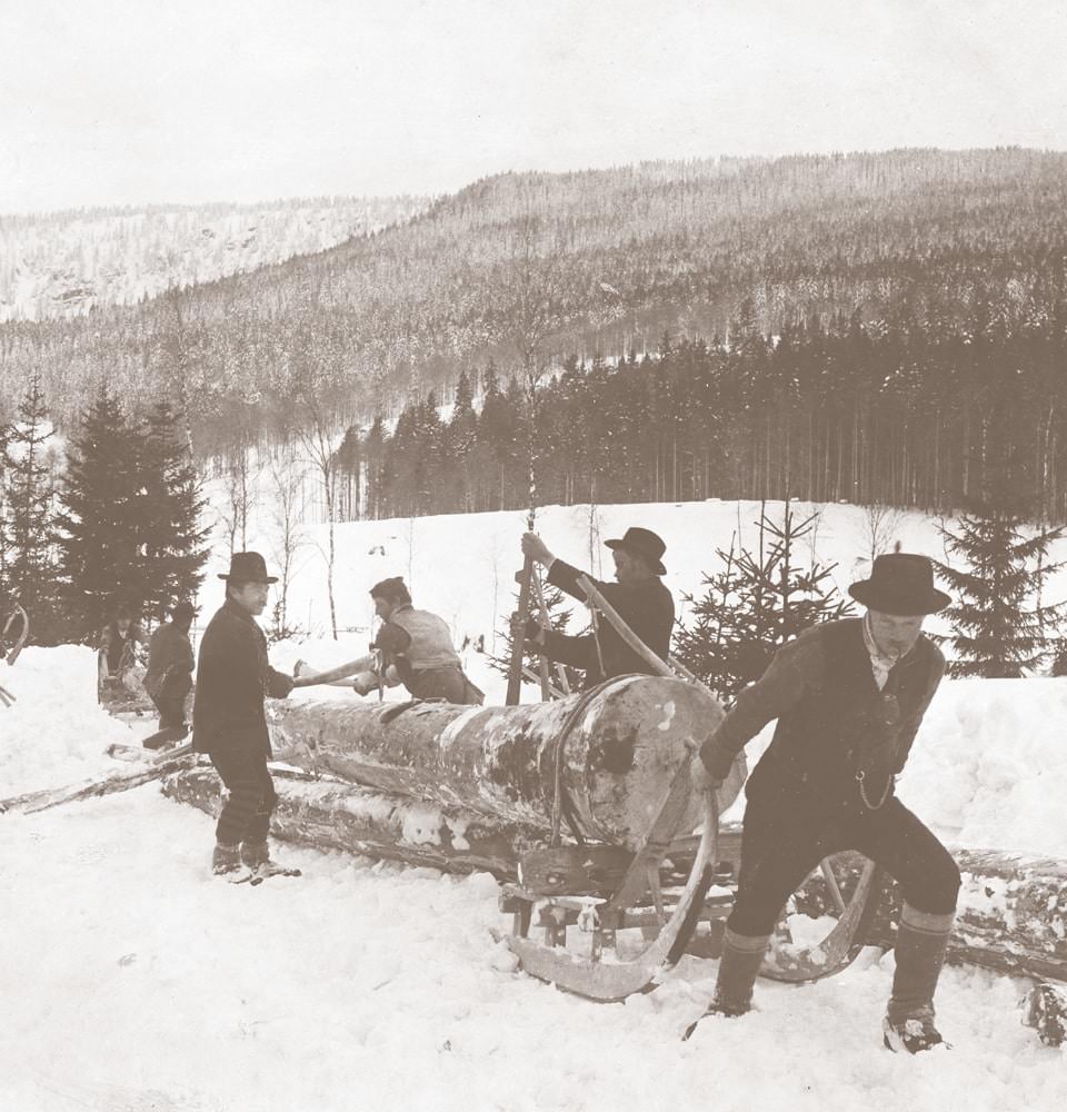 Historická fotografie práce v šumavských lesích